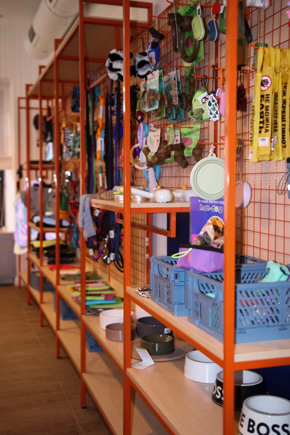 кав'ярня Pet-friendly Одеса
