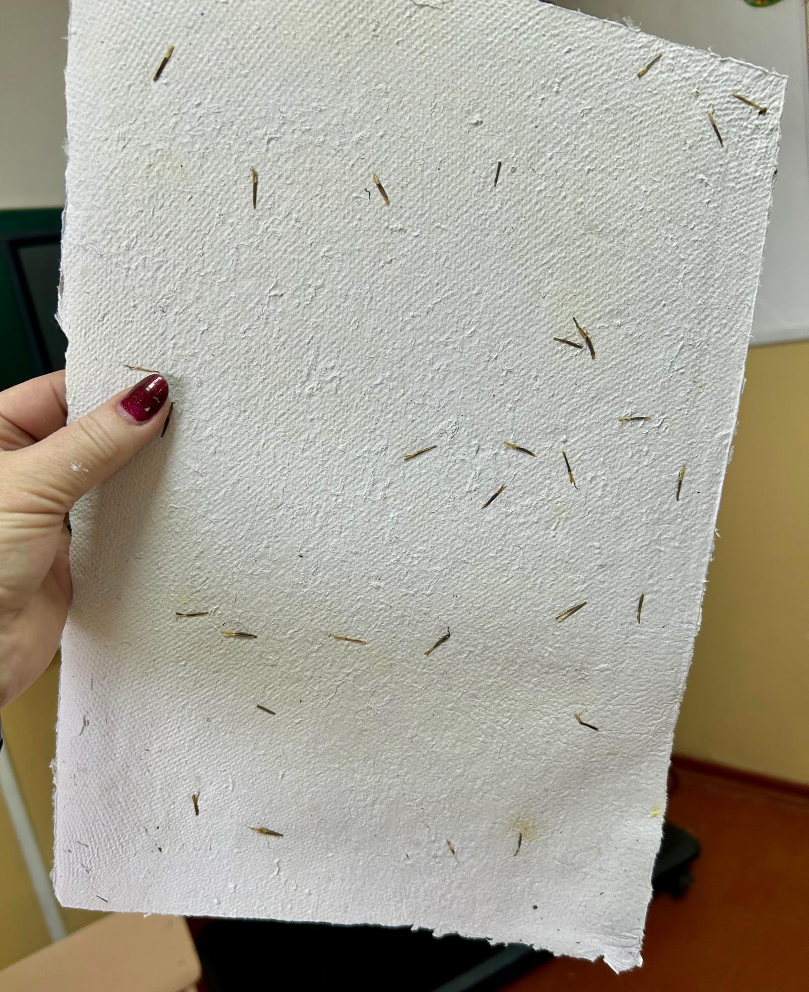 Готовий перероблений папір з насінням чорнобривців від СШП Golden Leaf Paper